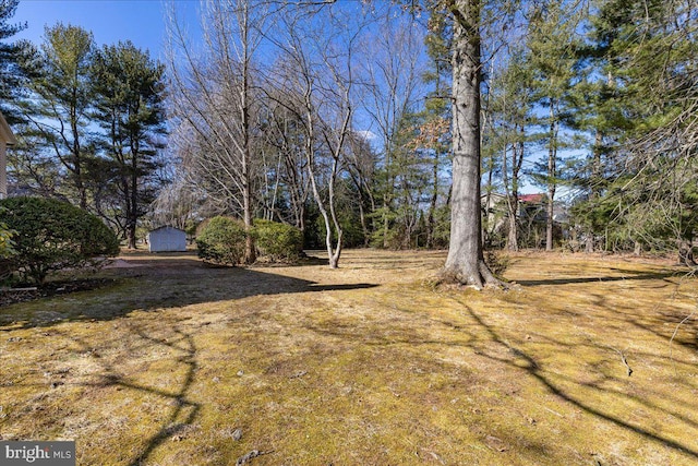 view of yard with an outdoor structure