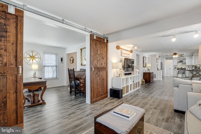 living room featuring a barn door, wood finished floors, a ceiling fan, and track lighting