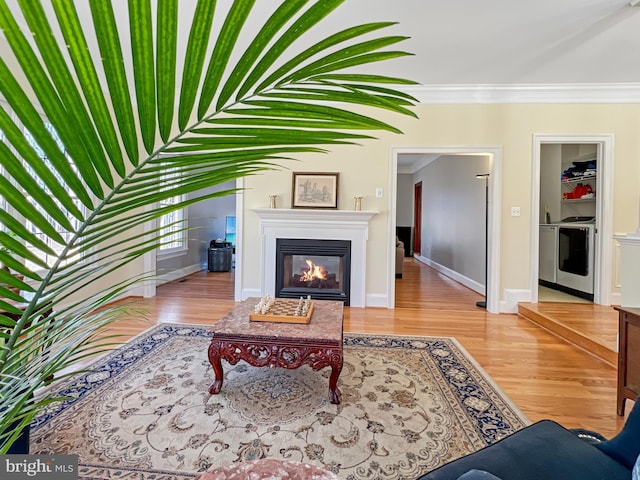 living room featuring light wood-type flooring, a glass covered fireplace, crown molding, and baseboards