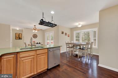 kitchen featuring a sink, a healthy amount of sunlight, dark wood finished floors, and dishwasher