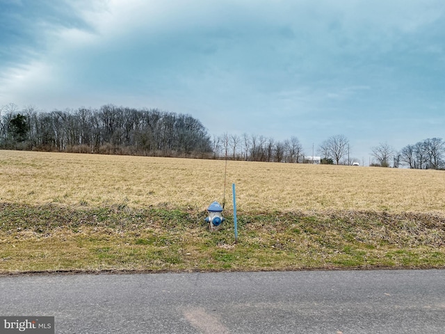 view of yard with a rural view