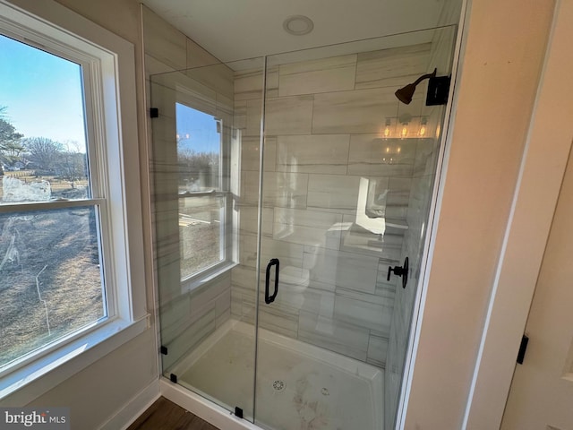 bathroom with plenty of natural light and a shower stall