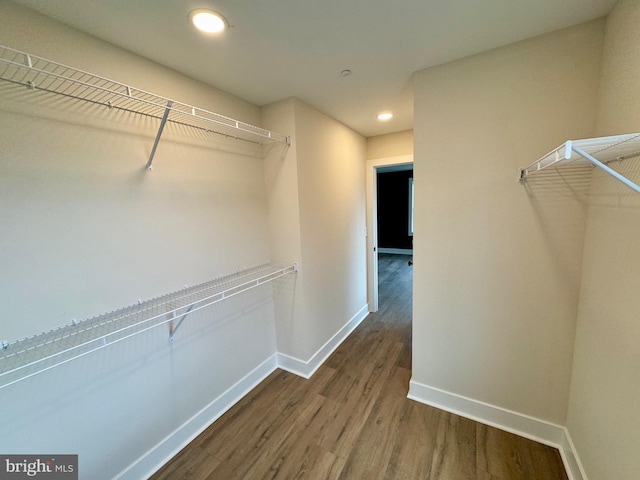 walk in closet featuring wood finished floors
