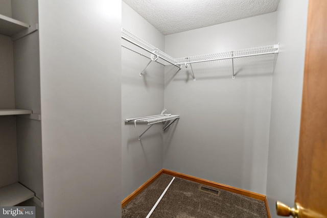 spacious closet featuring carpet and visible vents