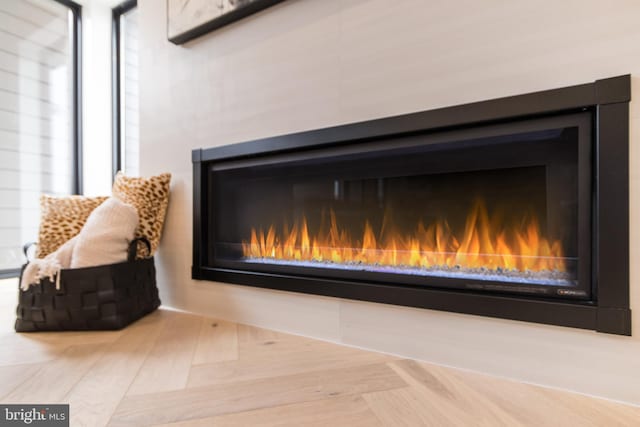 room details with a glass covered fireplace