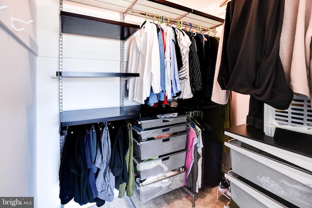 view of spacious closet