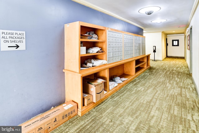 interior space featuring ornamental molding, carpet flooring, and mail area