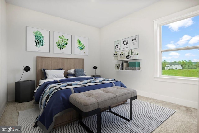 bedroom with baseboards and carpet floors