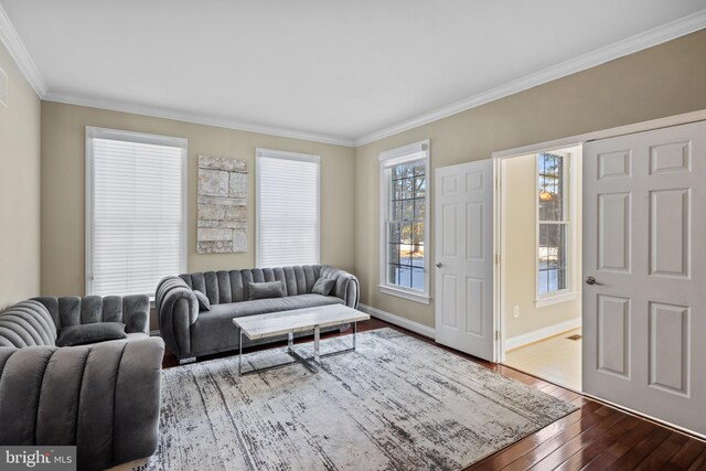 living area featuring baseboards, ornamental molding, and wood finished floors