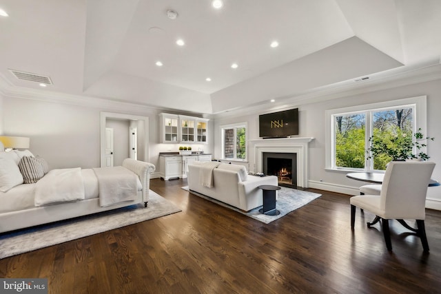 bedroom featuring a tray ceiling, multiple windows, and dark wood finished floors