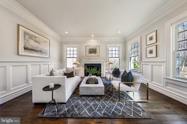 living area with ornamental molding, dark wood-style flooring, a fireplace, and a decorative wall