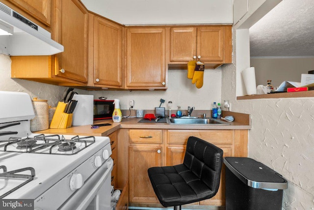 kitchen with crown molding, sink, a textured ceiling, and gas range gas stove