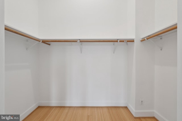 walk in closet featuring wood finished floors