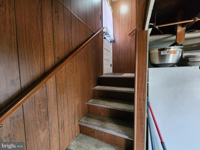 stairs featuring wooden walls