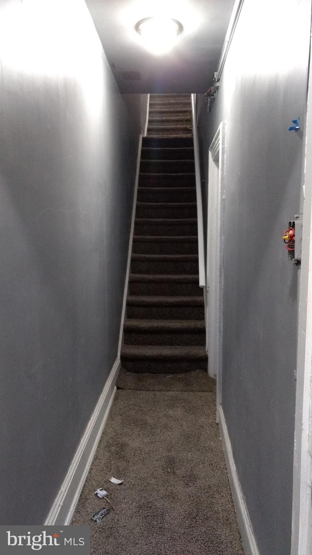 stairway featuring carpet floors