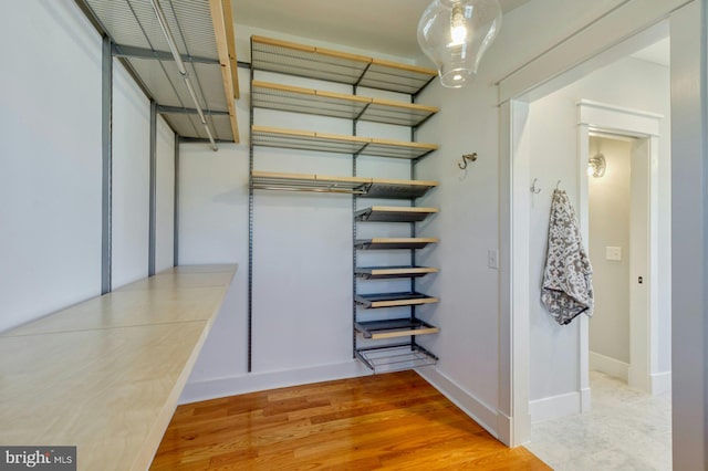 spacious closet featuring light wood-style flooring