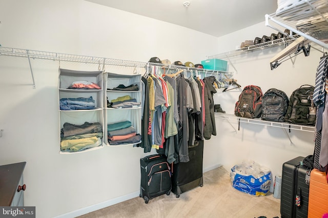 walk in closet featuring carpet floors