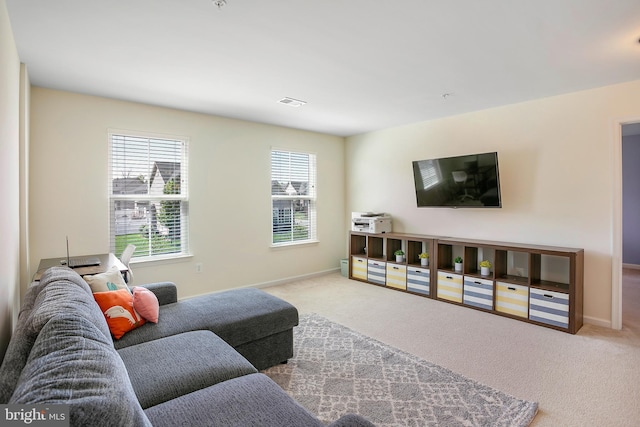 carpeted living area featuring a wealth of natural light, visible vents, and baseboards