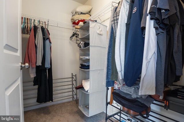 walk in closet with carpet floors