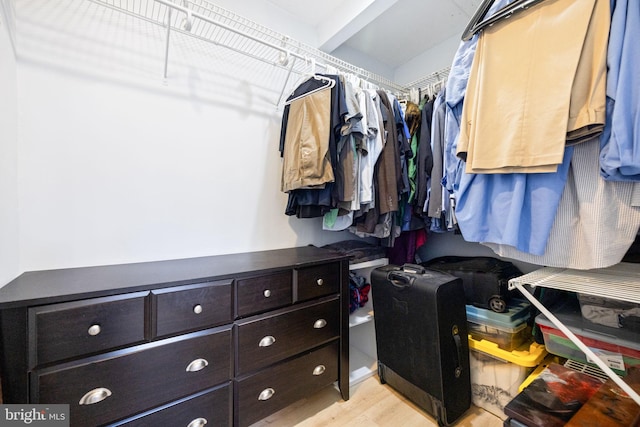 walk in closet with light wood finished floors