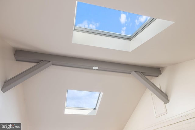 room details featuring a skylight