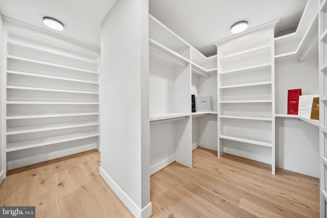 6807 Williamsburg Blvd, Arlington, VA 22213 - walk in closet featuring light wood-style floors