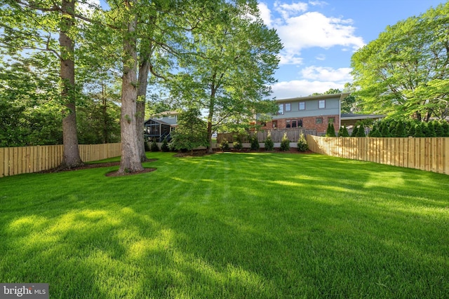 6807 Williamsburg Blvd, Arlington, VA 22213 - view of yard