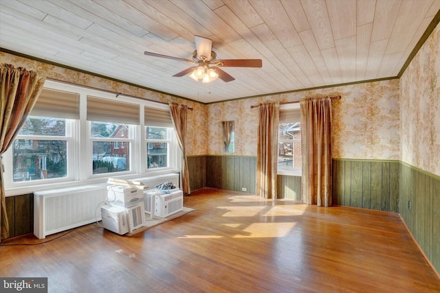 spare room with wainscoting, a wealth of natural light, and radiator