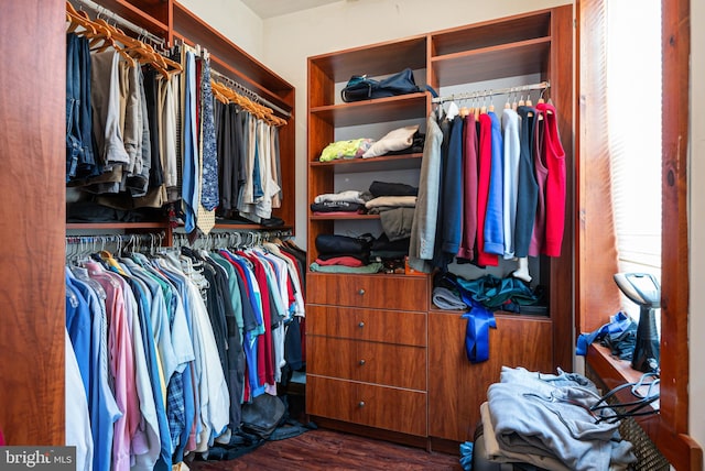 spacious closet featuring dark hardwood / wood-style flooring