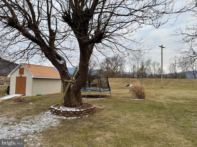 view of yard featuring a trampoline, an outdoor structure, and a storage shed