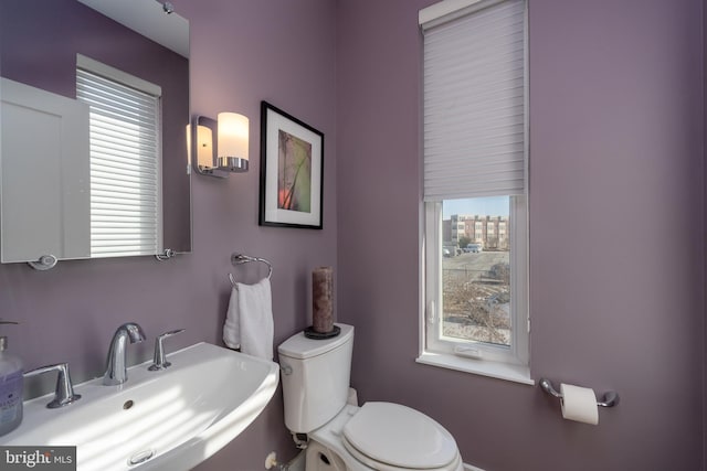 bathroom with toilet, plenty of natural light, and a sink