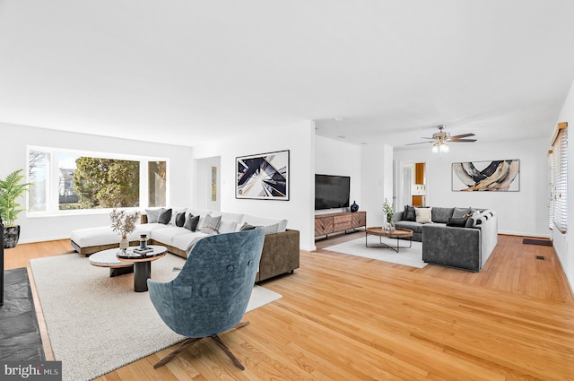 living room with ceiling fan and wood-type flooring