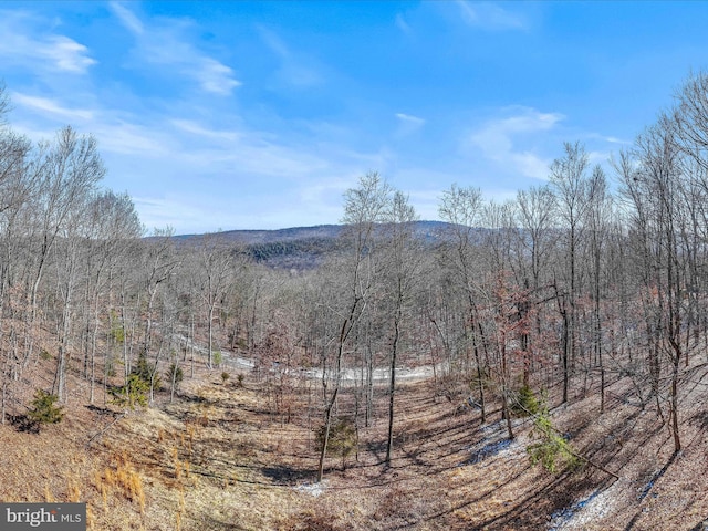 606 Rocky Branch Rd, Baker, WV 26801 - mountain view featuring a view of trees