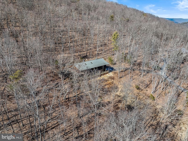606 Rocky Branch Rd, Baker, WV 26801 - bird's eye view