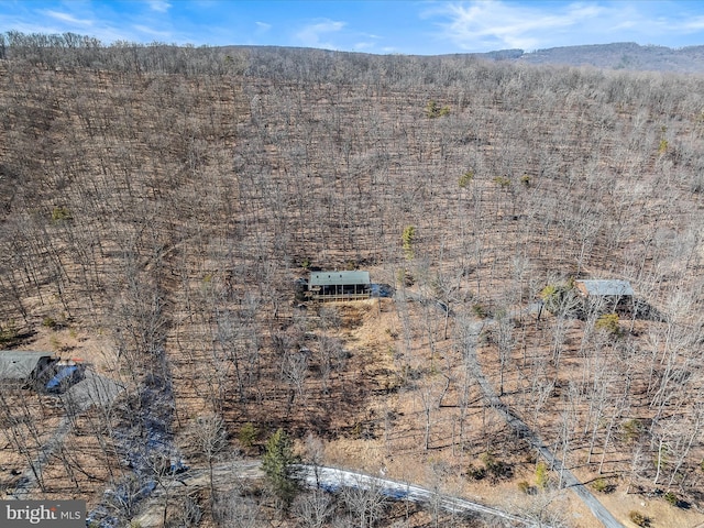 606 Rocky Branch Rd, Baker, WV 26801 - bird's eye view