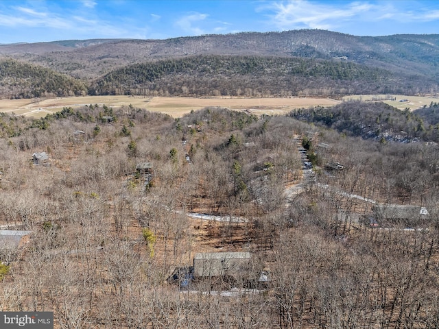 606 Rocky Branch Rd, Baker, WV 26801 - property view of mountains
