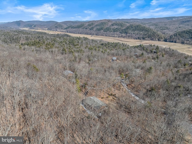606 Rocky Branch Rd, Baker, WV 26801 - property view of mountains