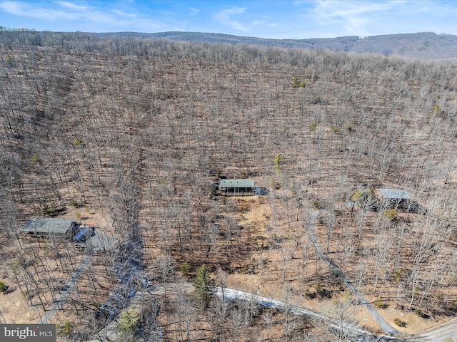 606 Rocky Branch Rd, Baker, WV 26801 - bird's eye view