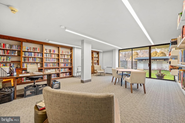 interior space featuring carpet floors and expansive windows