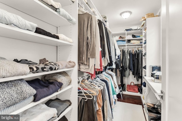 walk in closet featuring wood finished floors