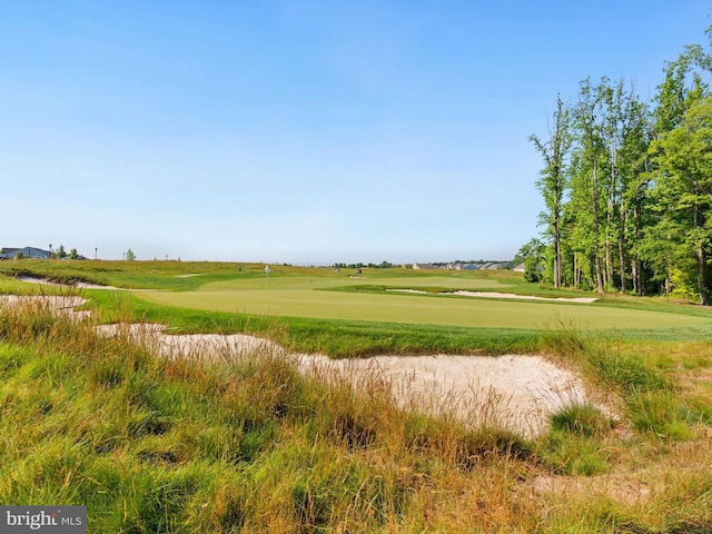 33423 Hickory St, Millsboro, DE 19966 - view of nature featuring view of golf course