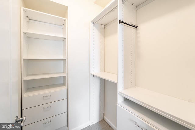 view of spacious closet