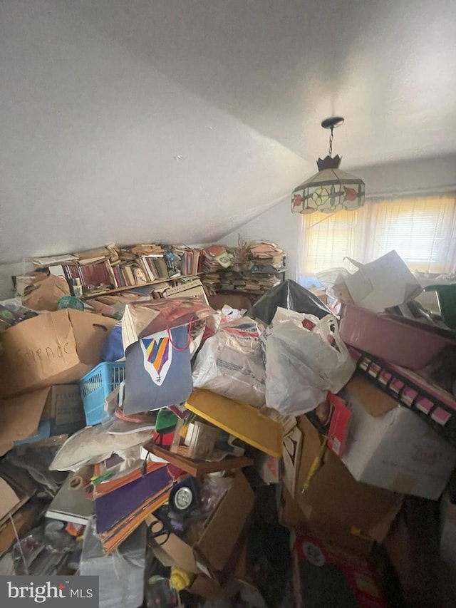 miscellaneous room with lofted ceiling