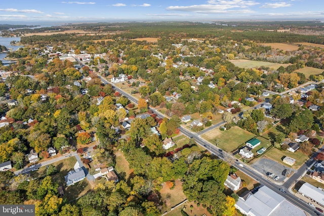 bird's eye view