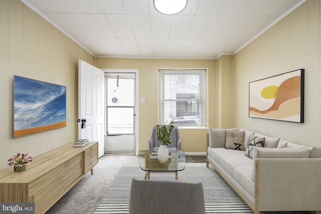 living area featuring crown molding and carpet flooring