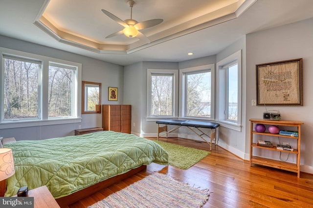 bedroom featuring hardwood / wood-style floors, a tray ceiling, multiple windows, and baseboards