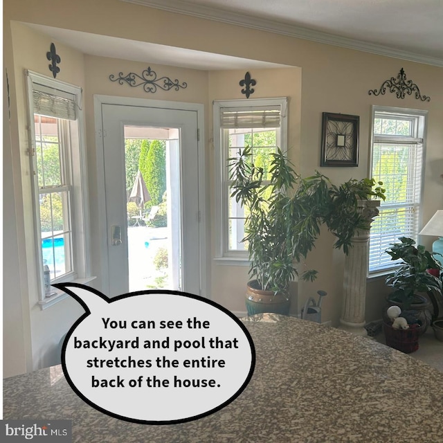 interior space featuring ornamental molding and a wealth of natural light