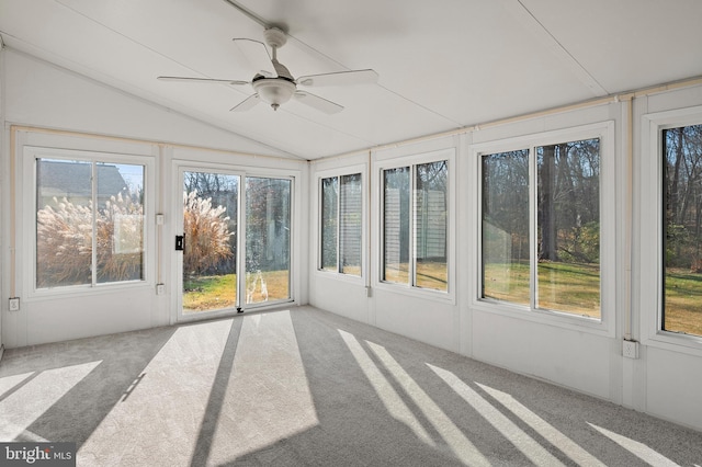 unfurnished sunroom featuring ceiling fan, a wealth of natural light, and lofted ceiling