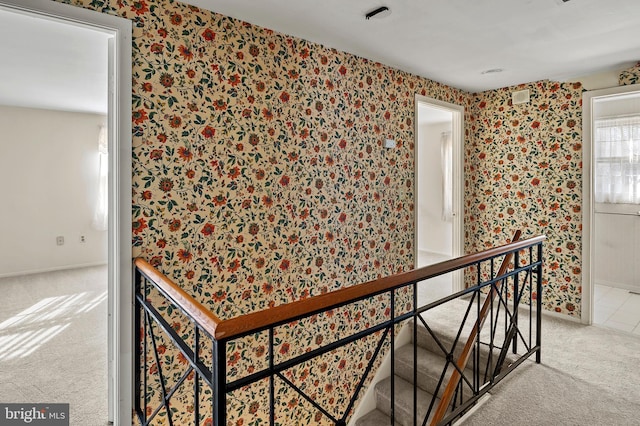 hallway with carpet floors