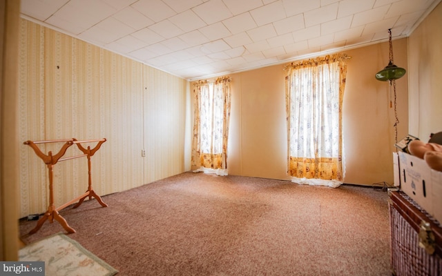 spare room featuring plenty of natural light and carpet flooring